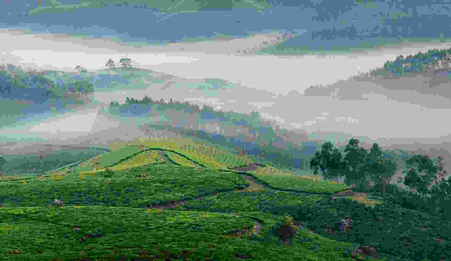 travel Taxonomy Image travel Taxonomy Image